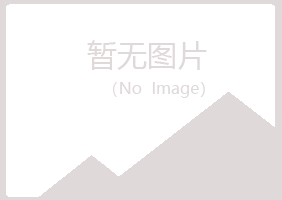 上海闸北埋没音乐有限公司